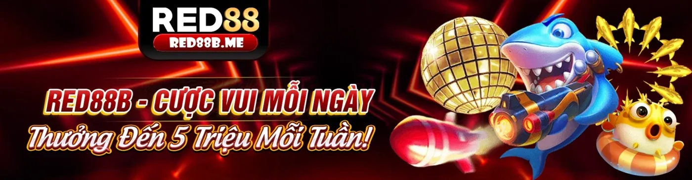 Nền Tảng An Toàn và Đa Nền Tảng