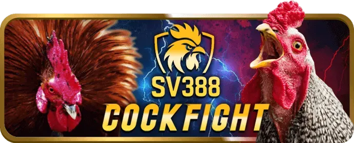 Giải thích Cookie là gì