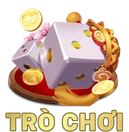 Quản lý tùy chọn Cookie